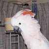 Margaret Harris Photo 7