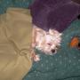 Cindy Walter Photo 8