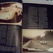 James Robb Photo 32