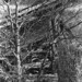 Sharon Cushman Photo 4