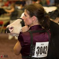 Tracy Mitchell Photo 31