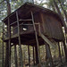 Amy Browne Photo 21