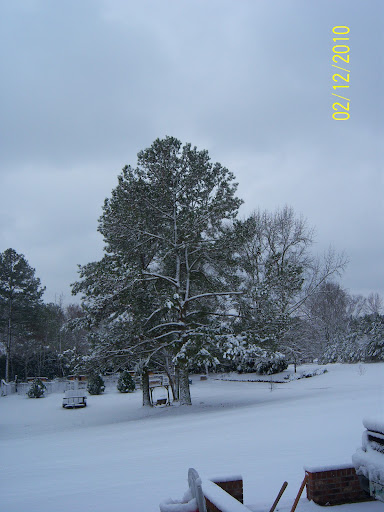 Evelyn Lewis Photo 18