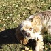 Sandy Shepherd Photo 27