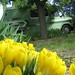 Sally Gard Photo 8