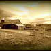 Virginia Field Photo 9