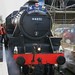 David Britain Photo 9