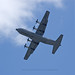 Mark Forman Photo 18