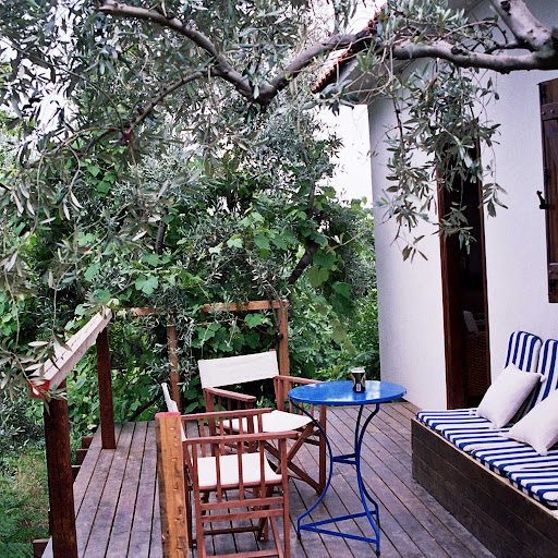 Sharon Goldstein Photo 15