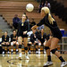 Sarah Gilbert Photo 39