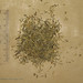 Rui Cao Photo 15