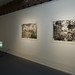 Lisa Mccarty Photo 6