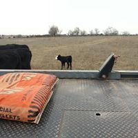 Cindy Sisco Photo 9