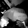 Hector Brito Photo 25