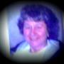 Jay Cook Photo 12