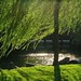 Maggie Stone Photo 10
