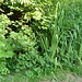 Peggy Stuart Photo 8