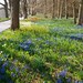 Constance Fields Photo 11
