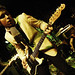 Peter Mazza Photo 18
