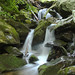 Christine Snelson Photo 5