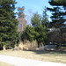 Adam Field Photo 26