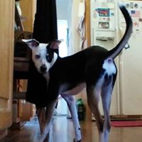 Paula Hendricks Photo 14