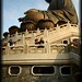 Xiu Jiang Photo 15