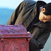 Sung Lee Photo 30
