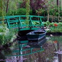 Patricia Carr Photo 5