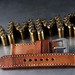 David Lane Photo 42