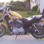 Annette Burt Photo 17