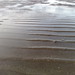 Warren Welsh Photo 16