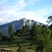 Mary Estes Photo 14