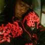 Eric Chisholm Photo 20