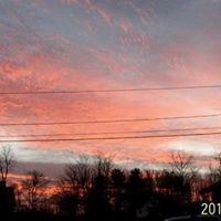 Terry Richards Photo 28