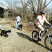 Debbie Horst Photo 22