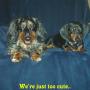 Sherry Heath Photo 1