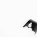 Andres Quiroz Photo 35