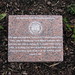 David Murtha Photo 14