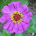 Peggy Stuart Photo 10