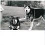 Carla Bates Photo 45