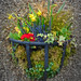 Julie Pennington Photo 37