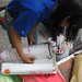 Tinh Le Photo 31