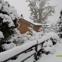 Connie Cook Photo 8