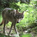 Rebecca Wolf Photo 23