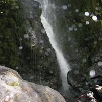 Fran Kerr Photo 9