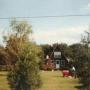Debbie Thomas Photo 5