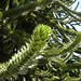 Elizabeth Mashburn Photo 21
