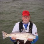Michael Comer Photo 1