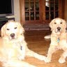 Kimberly Hoff Photo 11